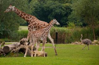 Zoo Leipzig JUST AWAY
