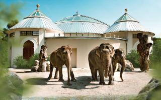 Tierpark Hellabrunn JUST AWAY