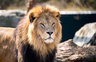 Tierpark Hellabrunn JUST AWAY