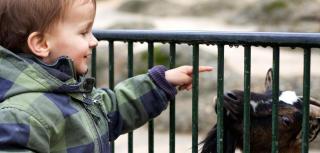 Zoobesuch mit Kindern JUST AWAY