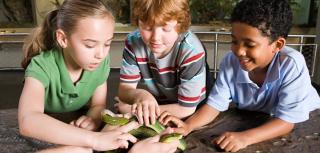 Zoobesuch mit Kindern JUST AWAY