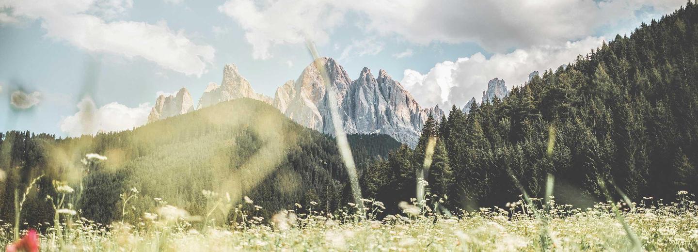 © Eurotours Berge die verzaubern - die Dolomiten