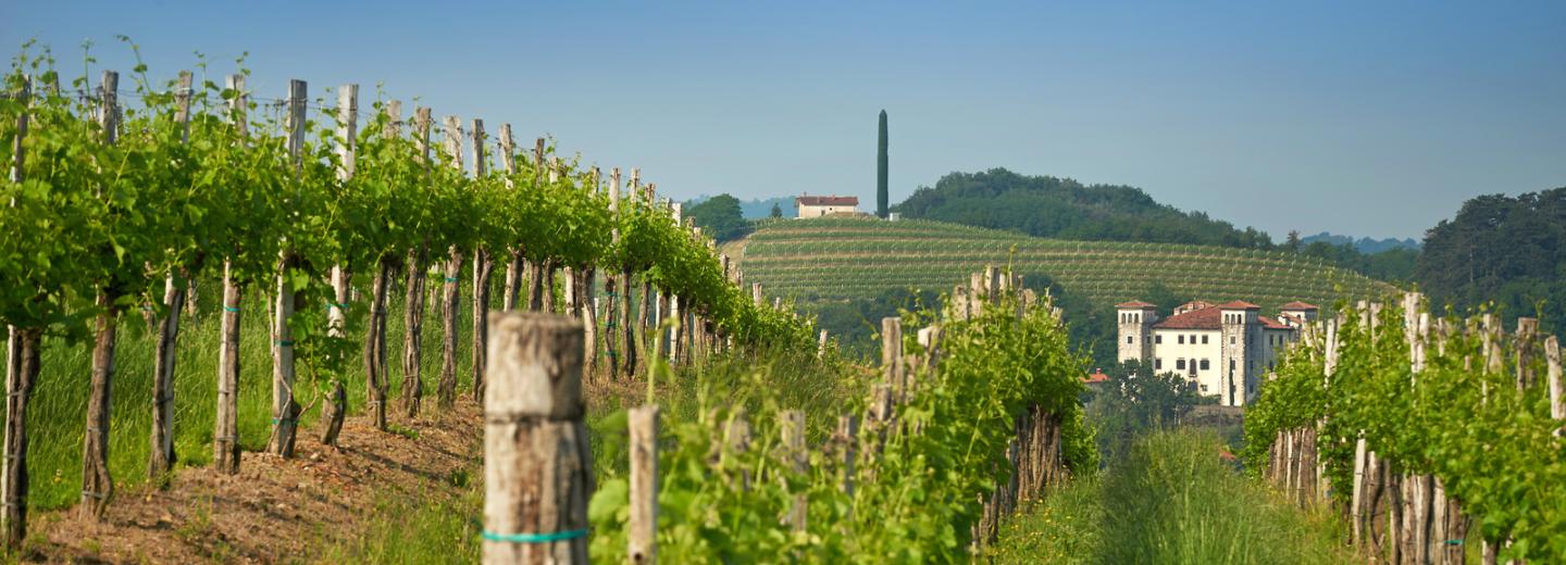 © www.slovenia.info -Tomo Jeseničnik, Jošt Gantar, Alen Kosmač, Jaka Ivančič Abenteuer in der Natur