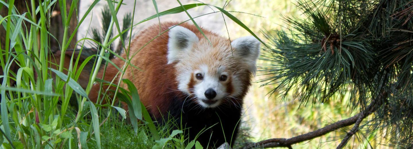 © Zoo Leipzig Zoo Leipzig