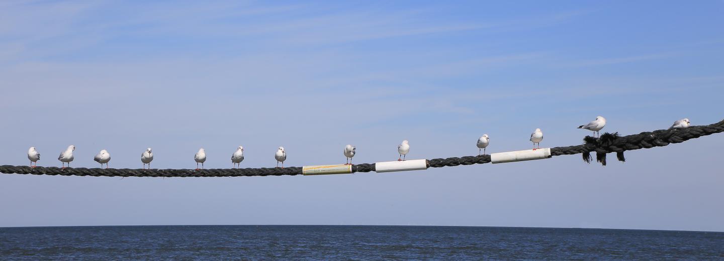 © Eurotours Cuxhaven