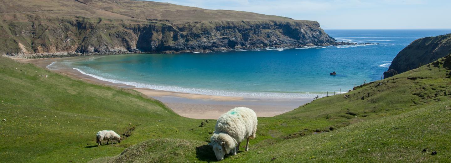 © Eurotours Donegal