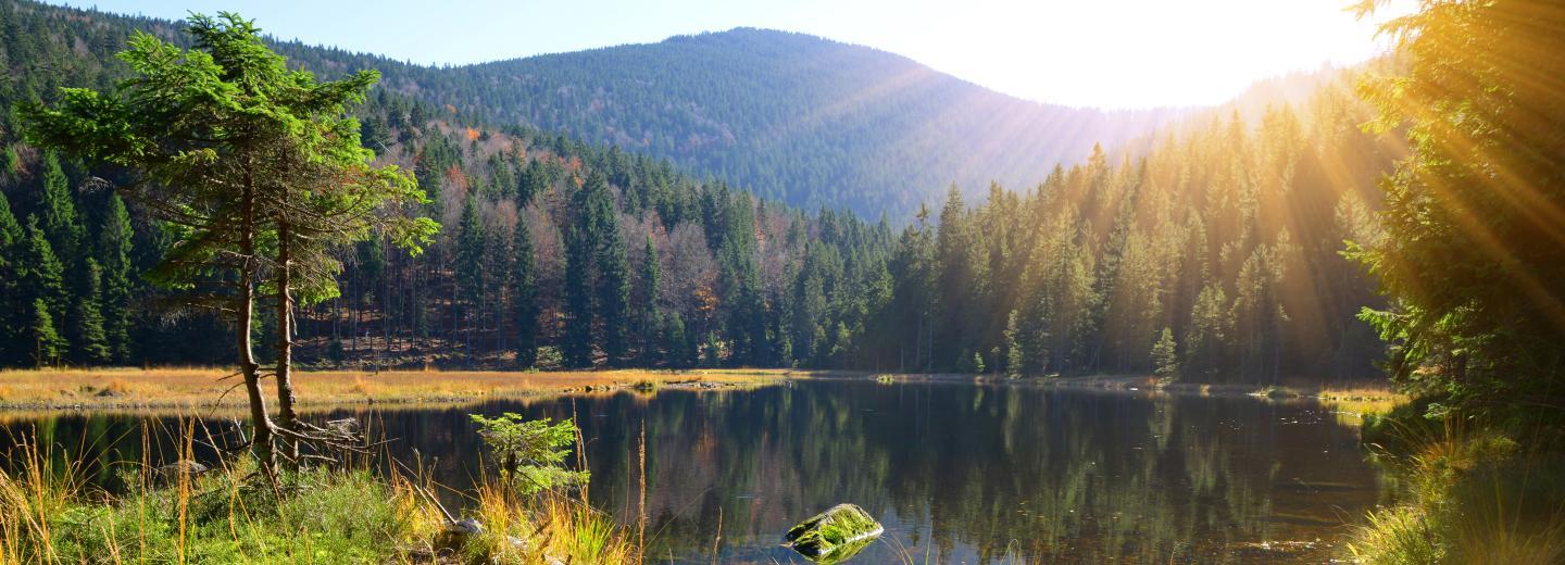 © Eurotours Kleiner Arbersee, Lohberg