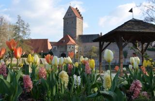 Dinkelbühl JUST AWAY