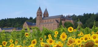 Rüdesheim JUST AWAY