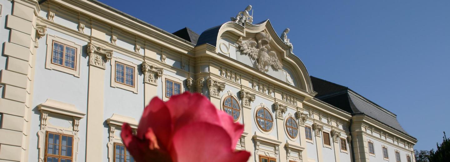 © Eurotours Halbturn