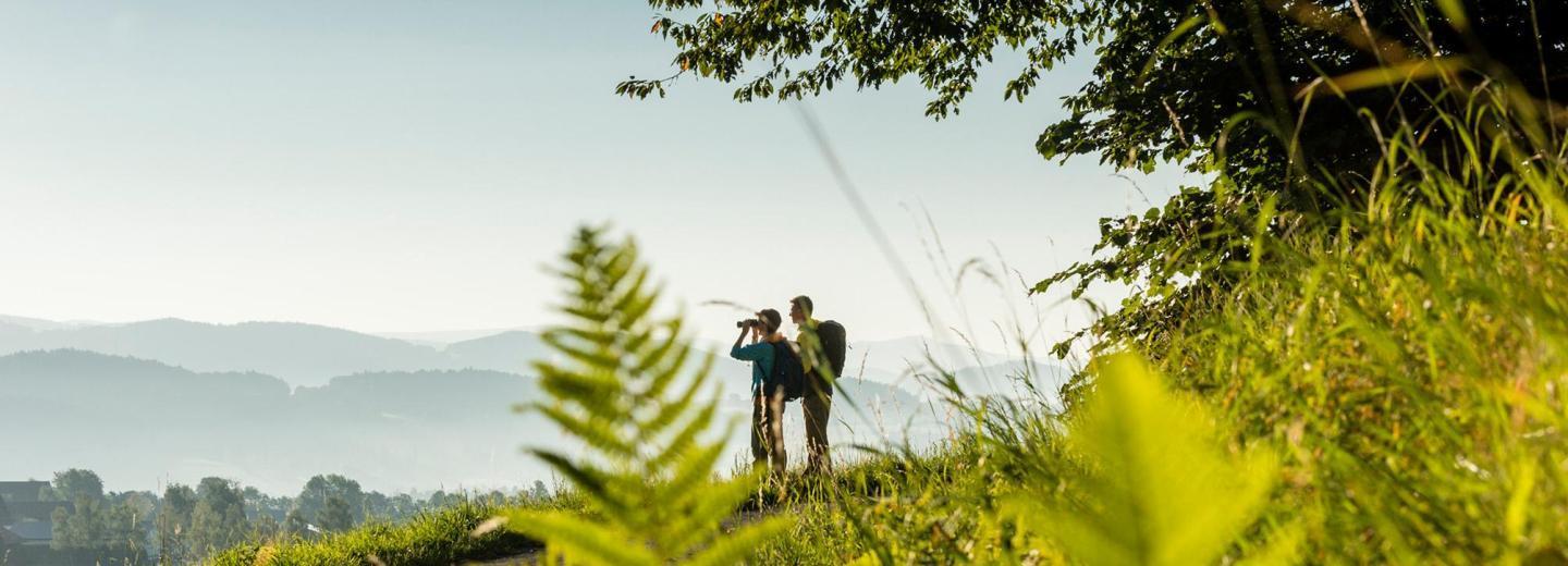 © Tourismusverband Ostbayern / Fotograf: Andreas Hub Bayerischer Wald
