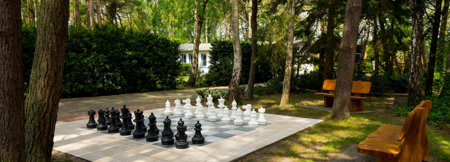 © Eurotours Im Sommer nach Rügen