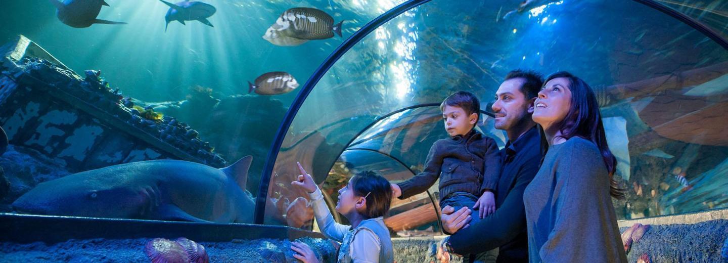 © Gardaland & Sealife Gardaland SEA LIFE Aquarium, Castelnuovo del Garda
