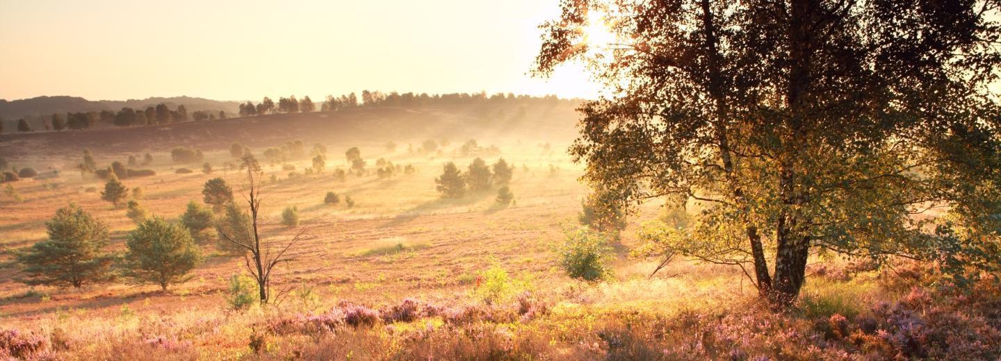 © Eurotours Lüneburger Heide