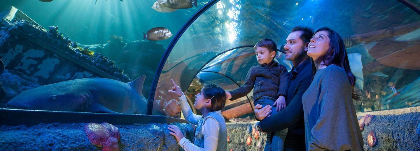 © Gardaland & Sealife Gardaland SEA LIFE Aquarium, Castelnuovo del Garda