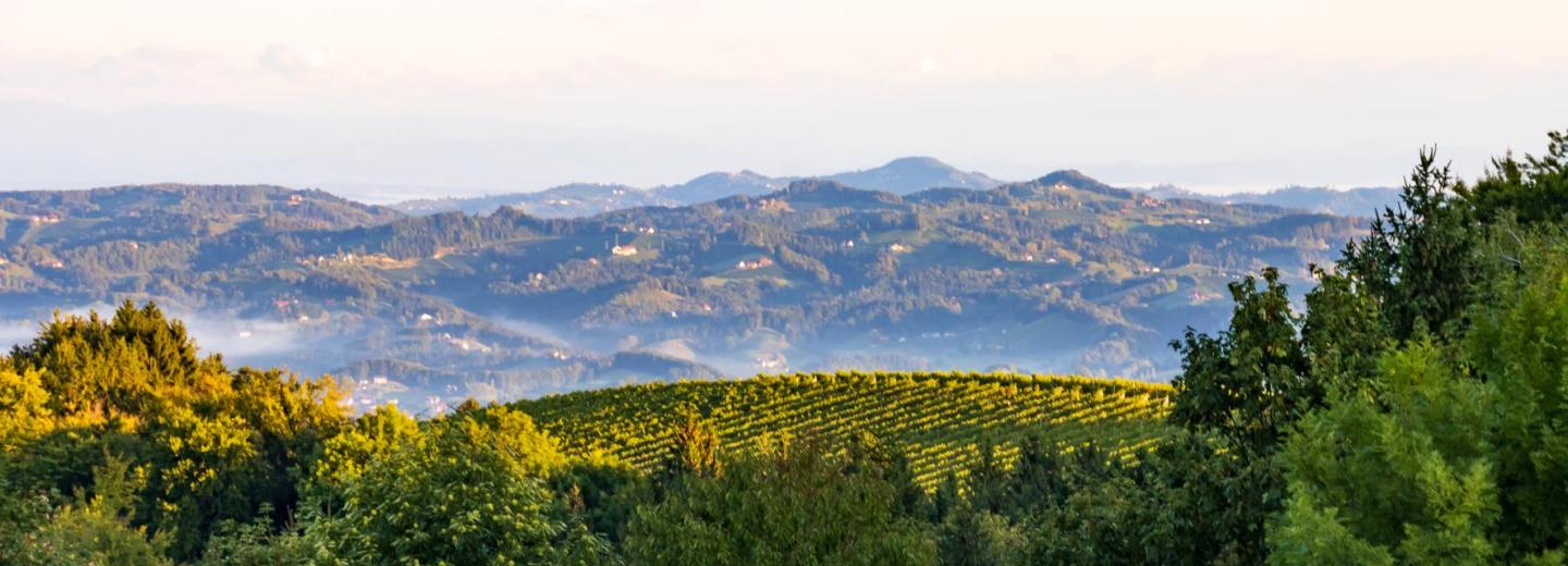 © Eurotours Genussmomente an der Weinstraße