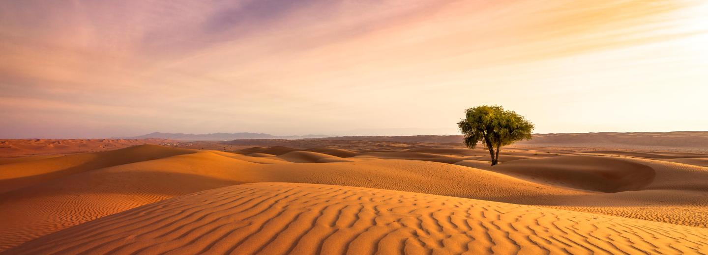 © Eurotours Oman