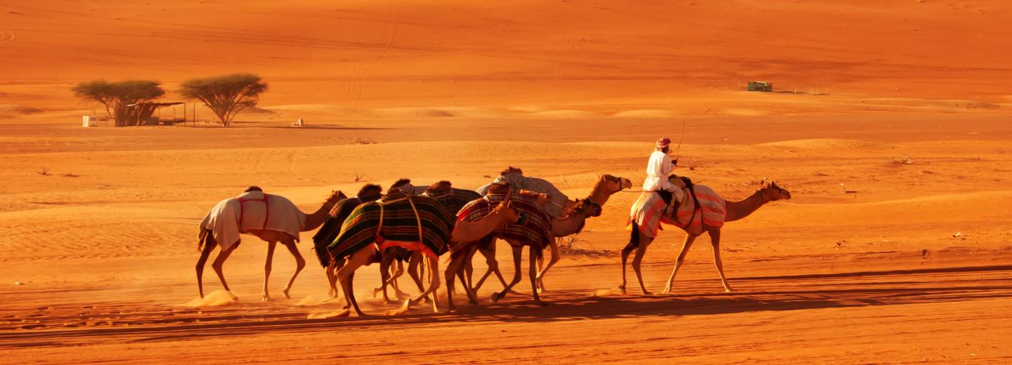 © Eurotours Oman