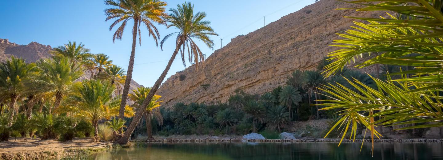 © Eurotours Wadi Bani Khalid, Oman