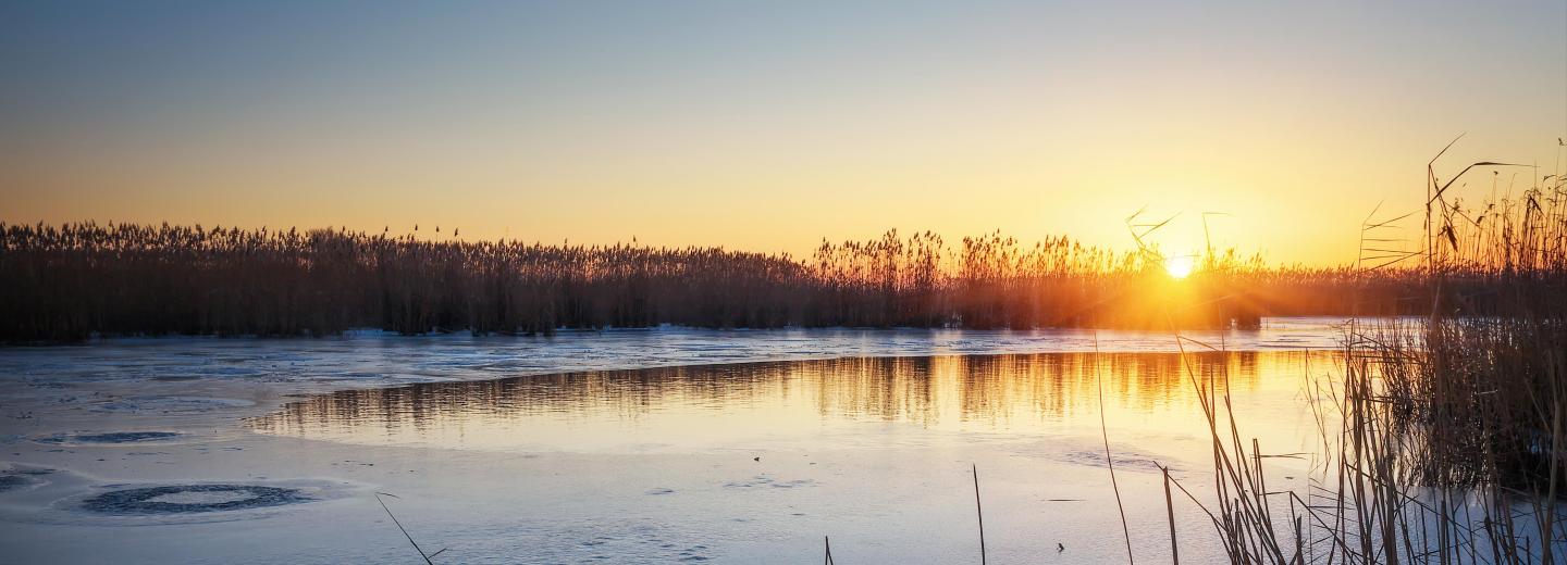 © Eurotours Bernried am Starnberger See