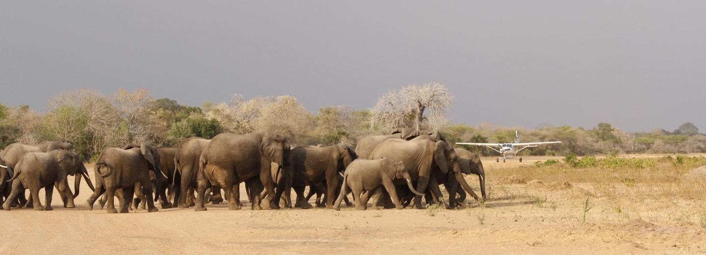© Eurotours Badespaß und Safariabenteuer in Sansibar