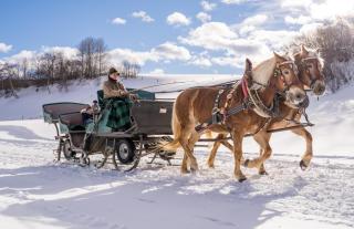 Kutschfahrten für Groß und Klein