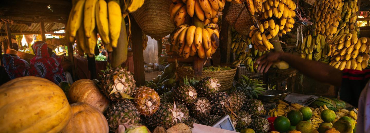 © Eurotours Sansibar: Badespaß und Safari-Abenteuer