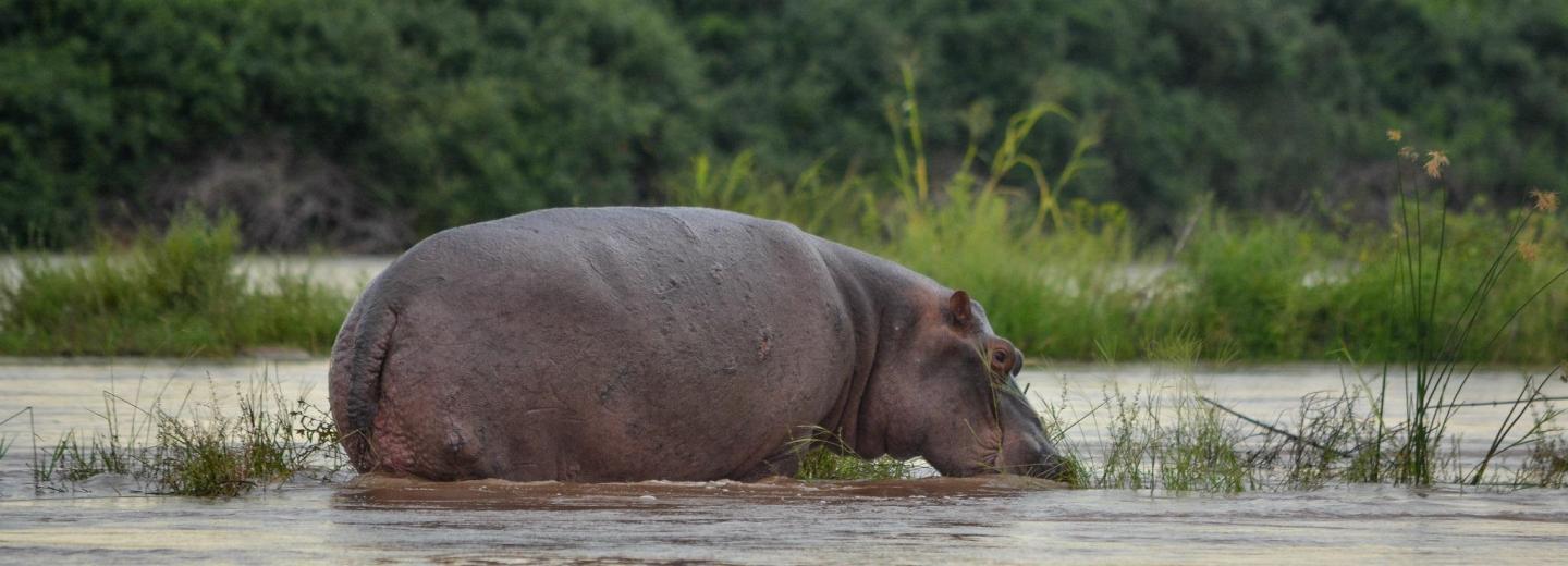 © Eurotours Sansibar: Badespaß und Safari-Abenteuer