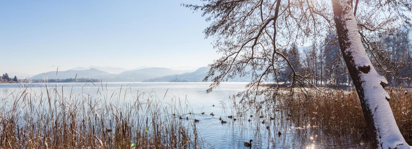 © woerthersee.com / Steinthaler Gert Wörthersee