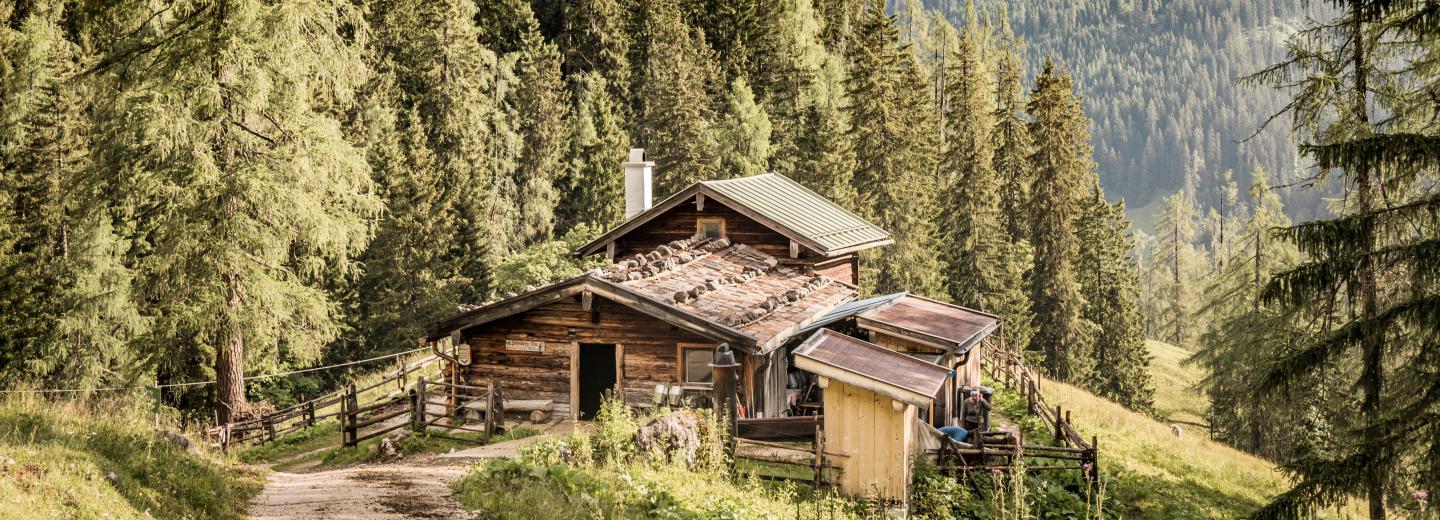 © Berchtesgadener Land Tourismus Priesbergalm