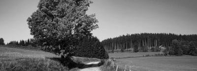 9708399/willingen-sommer014-18_1679325639775.jpg