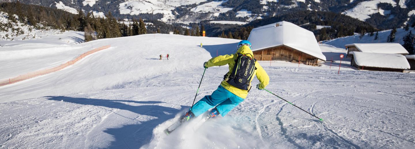 © Alpbachtal Tourismus Mit Ski und Hund in Alpbach