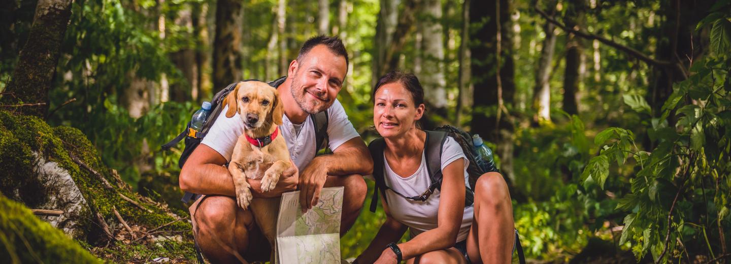 © Eurotours Erlebe tierisch viel in Alpbach