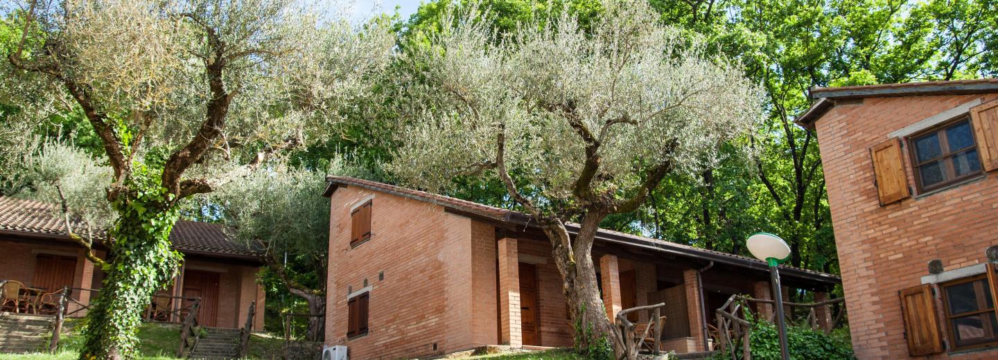© Eurotours 1 Woche im Mobile Home in Peschiera del Garda