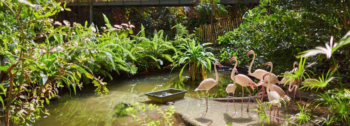 © Eurotours Tropical Islands: Südseefeeling in Brandenburg