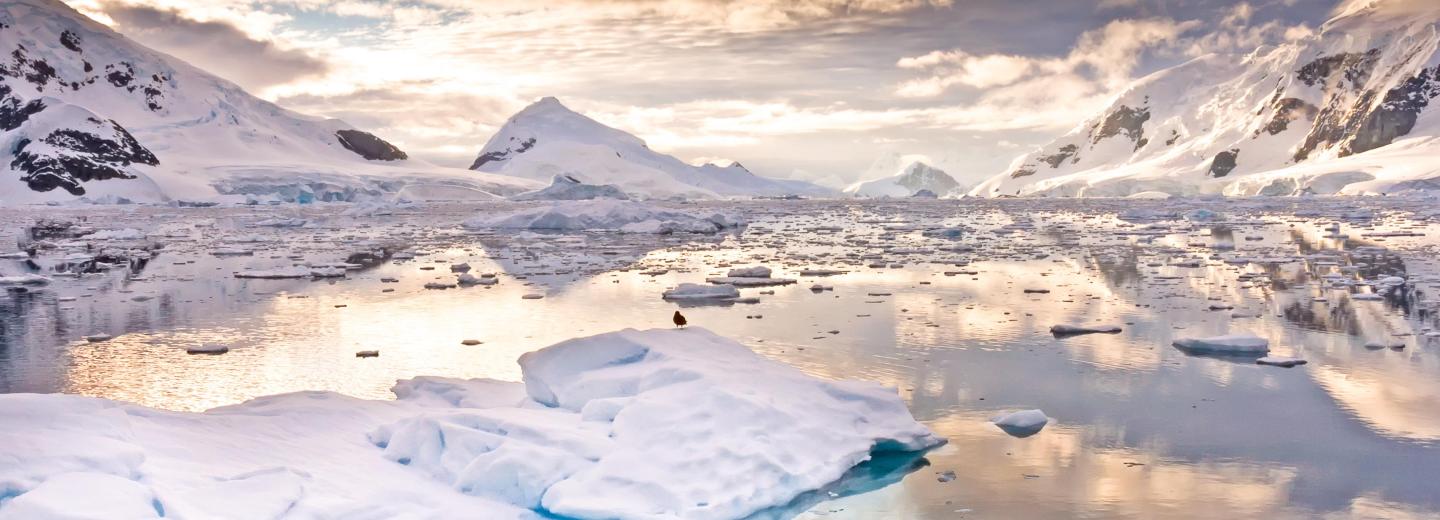 © Eurotours Expedition in die Arktis
