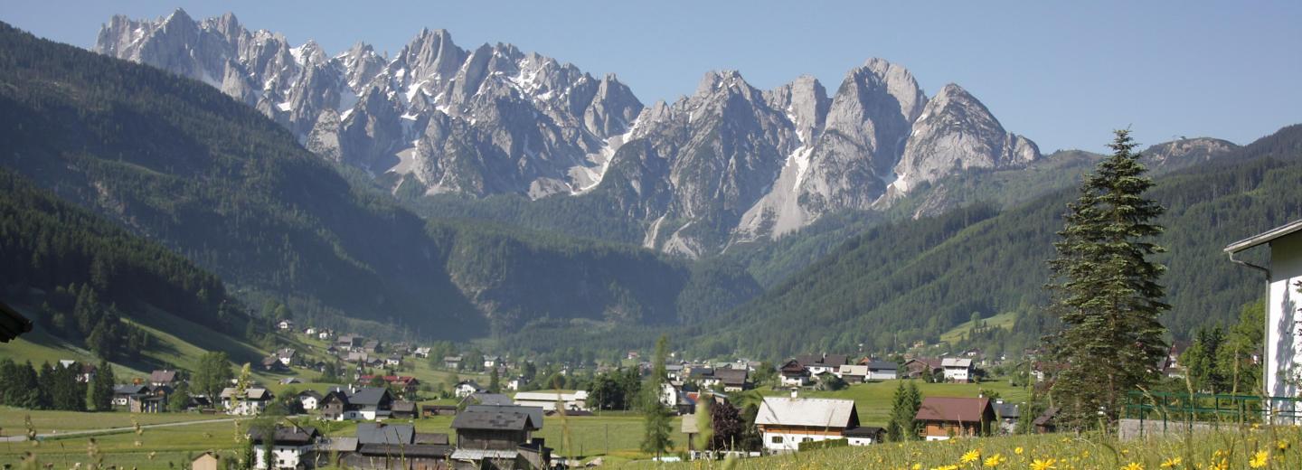 © Eurotours Gosau: Vital und fit, der Hund darf mit!