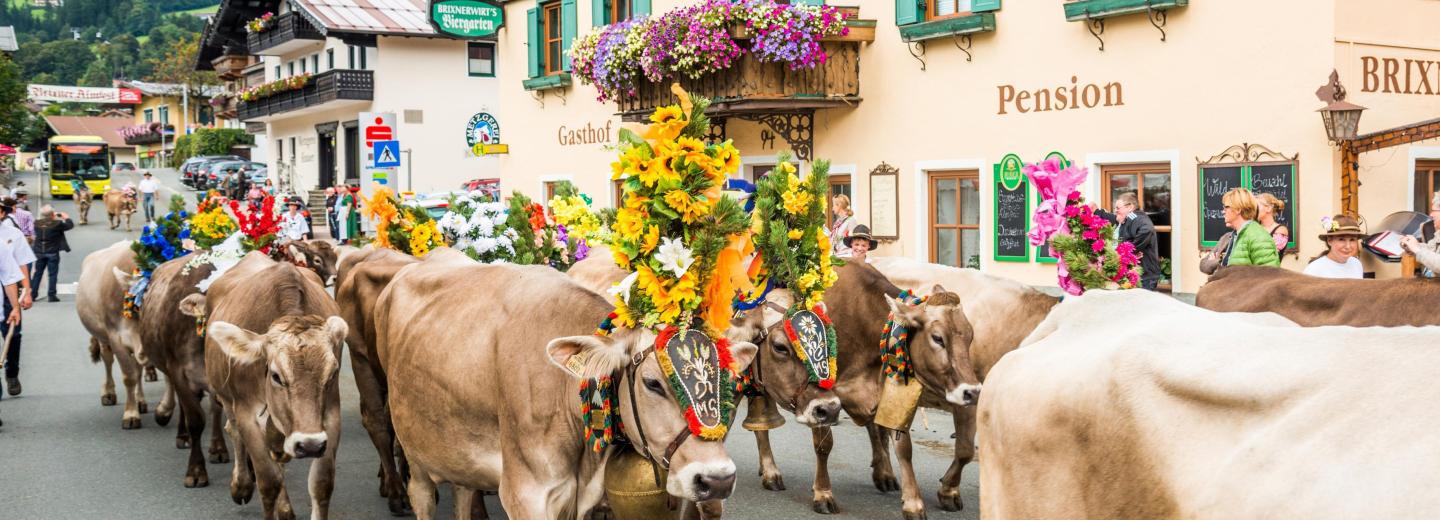 © TVB Brixen im Thale Brixen im Thale