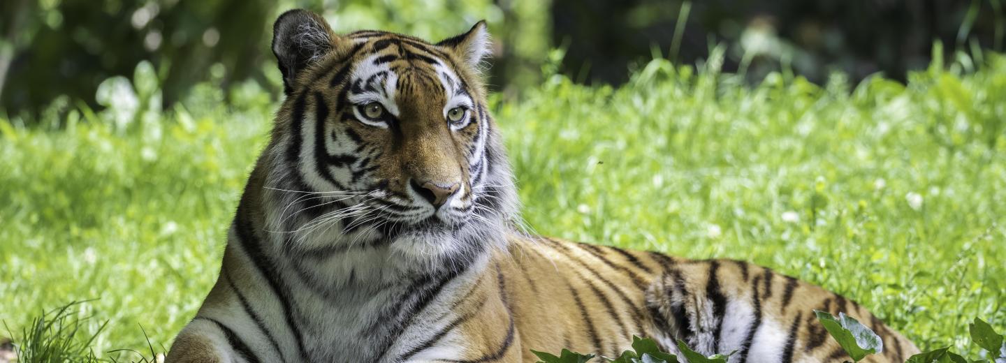 © Tierpark Hellabrunn / Julien Huber Tierpark Hellabrunn