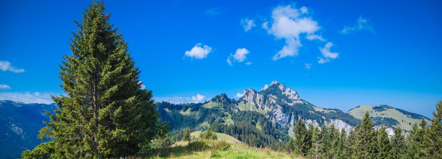 © Eurotours Chiemgau
