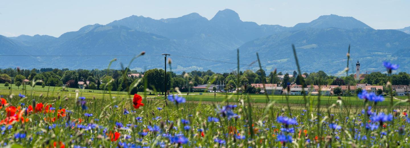 © AIB-KUR GmbH Bad Aibling