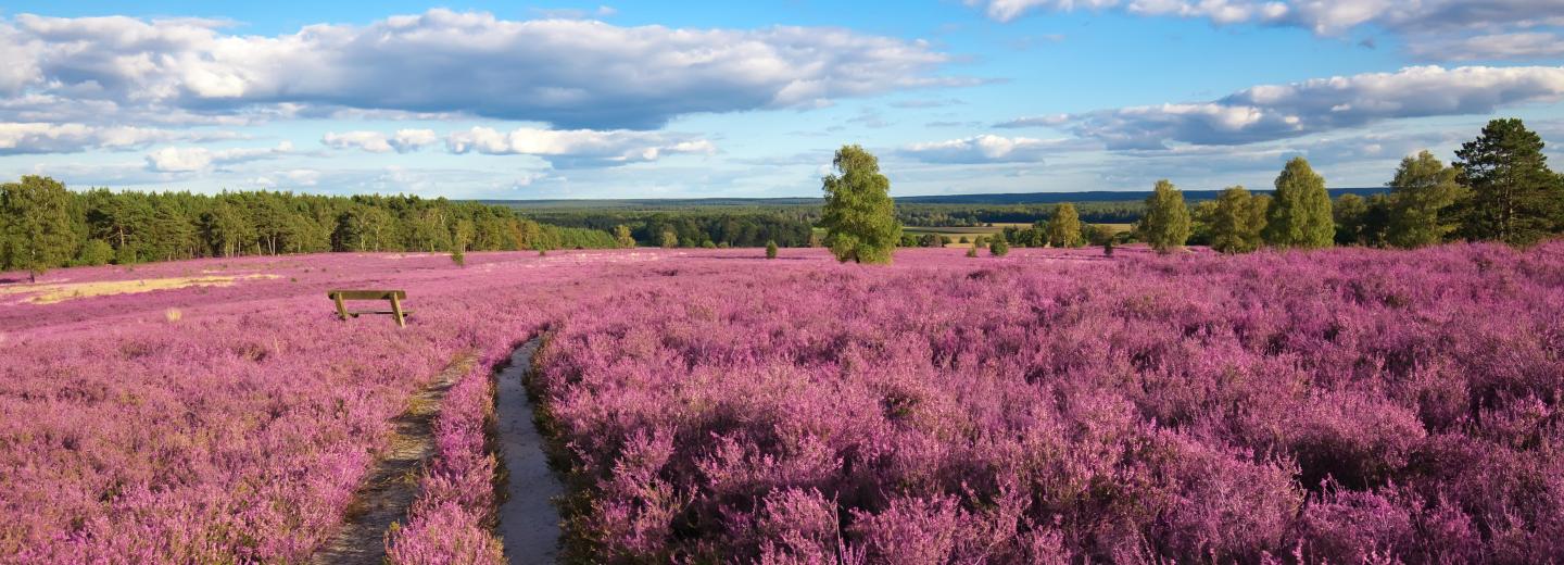 © Eurotours Lüneburger Heide
