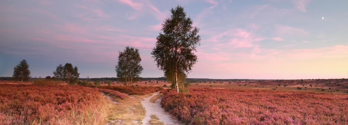 © Eurotours Lüneburger Heide