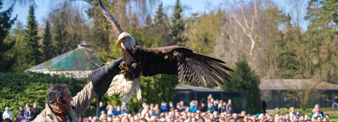 © Weltvogelpark Walsrode Vogelpark Walsrode