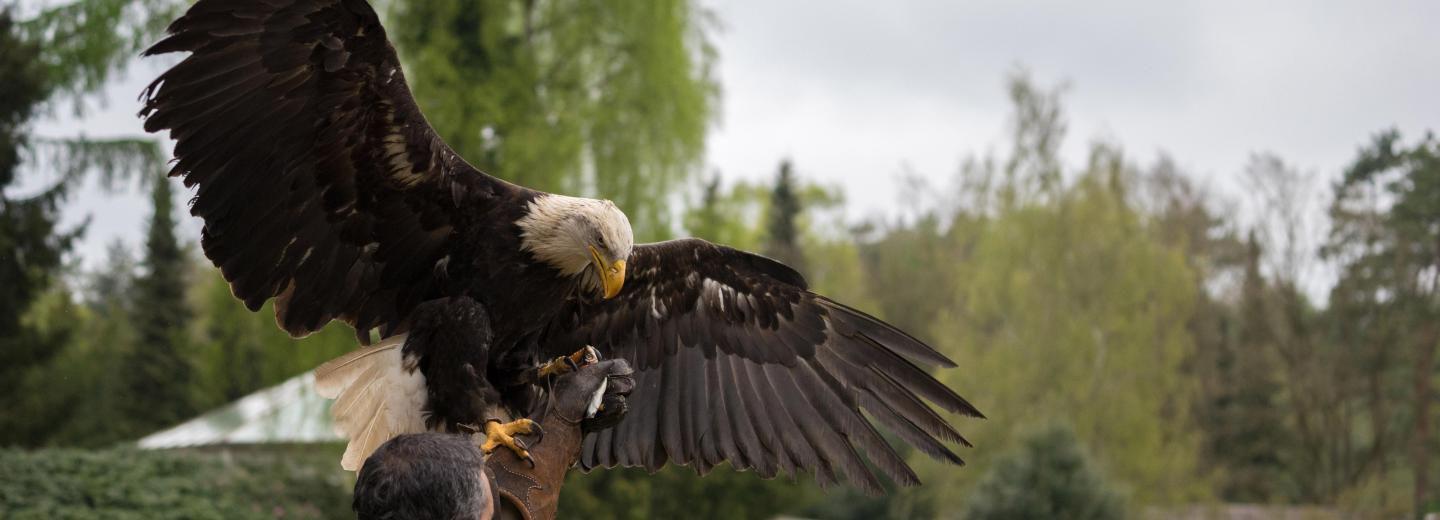 © Weltvogelpark Walsrode Vogelpark Walsrode