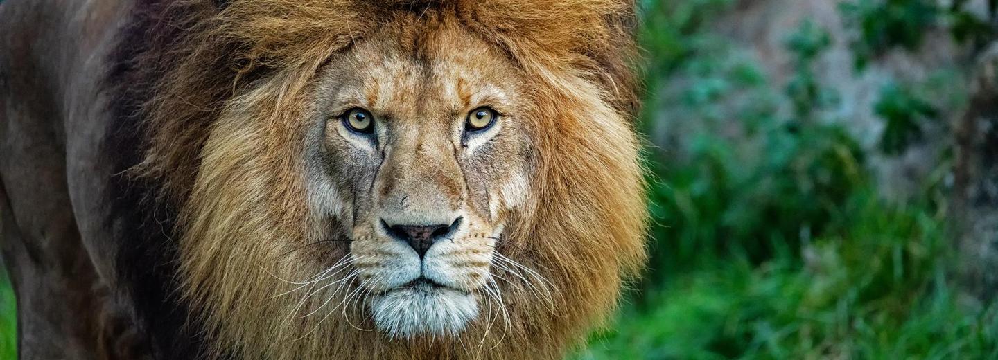 © Tierpark Hellabrunn / Maria Fencik Tierpark Hellabrunn