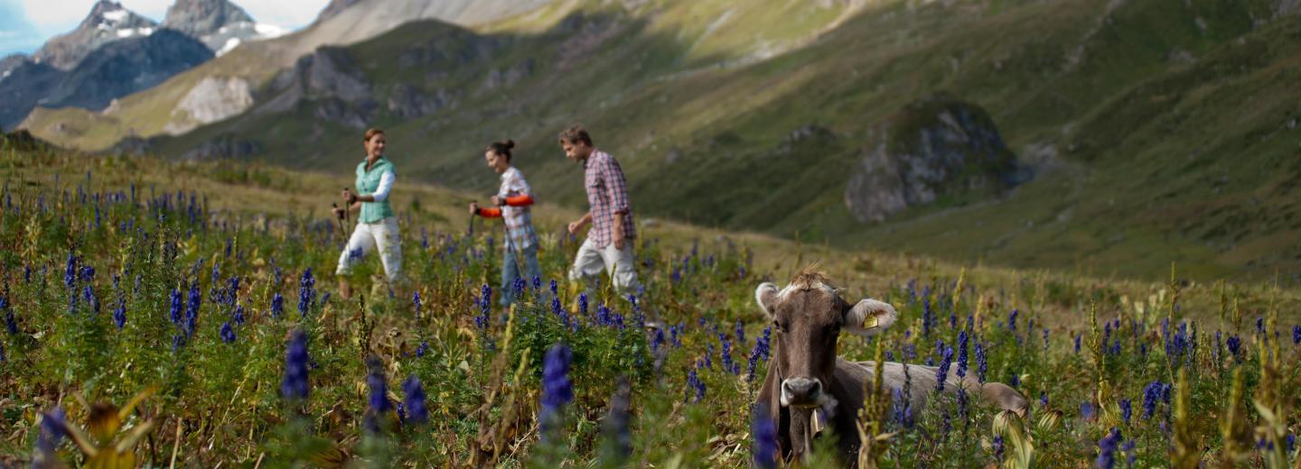 © TVB Paznaun - Ischgl Ischgl