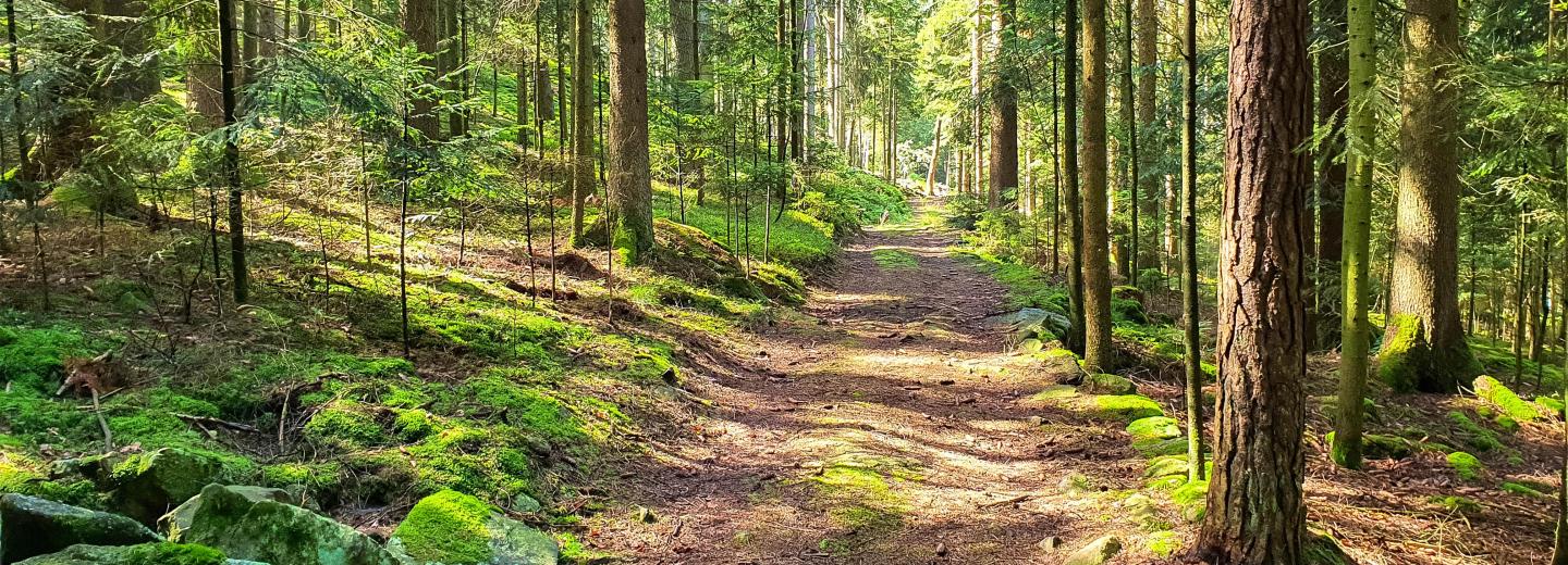 © Eurotours Bayerischer Wald