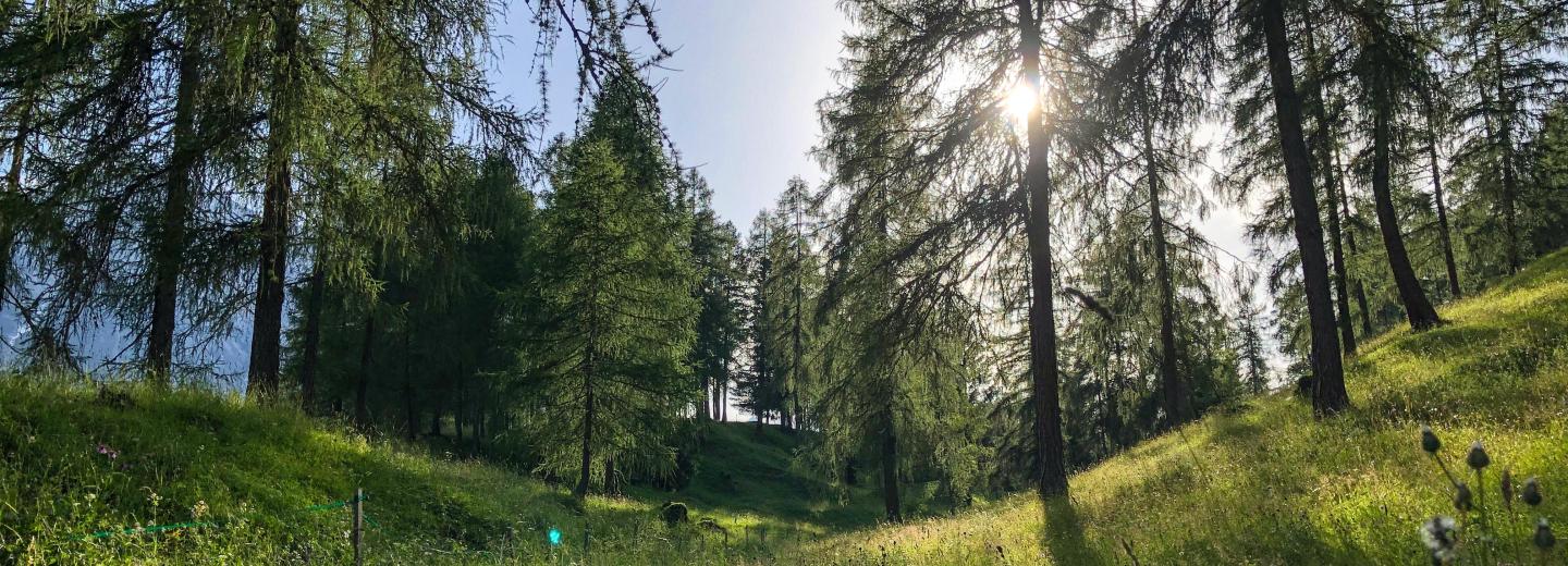 © Region Seefeld Seefeld