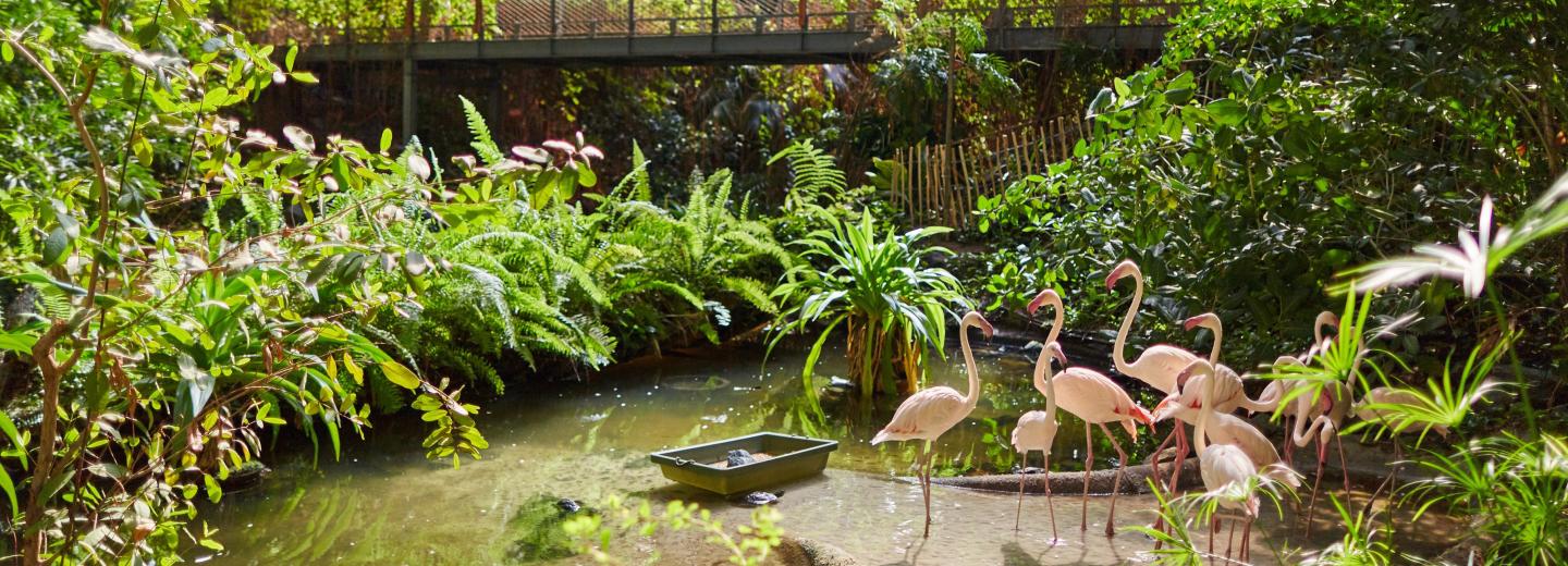 © Eurotours Tropical Islands